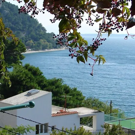 Appartement Gogi